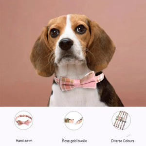 Adjustable dog collar size settings showing multiple hole positions for perfect fit on small medium or large dogs